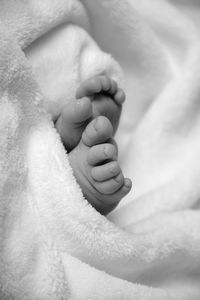 Close-up of baby feet in blanket