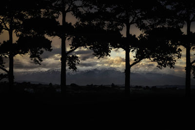 Silhouette trees against sky during sunset