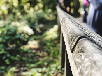 Close-up of bench in park