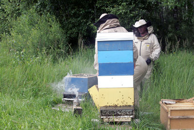 View of bee on the ground