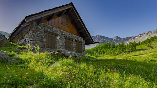 Plants growing on field by building against sky