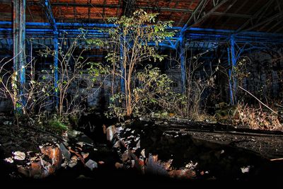 Illuminated lights against sky at night