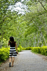 Rear view of young woman walking on road amidst trees at park