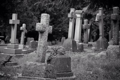 Tombstones in cemetery