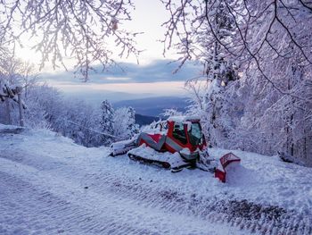 Scenic view of snow covered field by trees