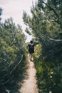 Rear view of man walking on footpath amidst trees