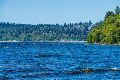 Scenic view of sea against clear blue sky