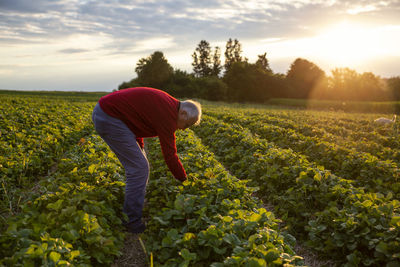 Full length of man standing on field against sky during sunset