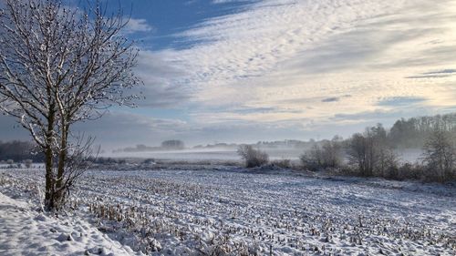 Scenic view of frozen field against sky during winter