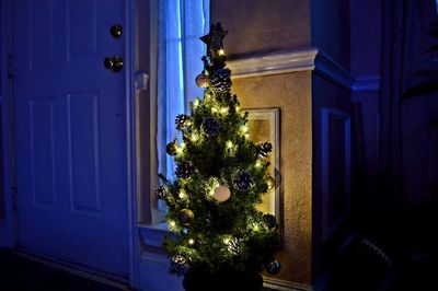 Tree on illuminated building at night