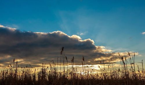 Scenic view of landscape against cloudy sky