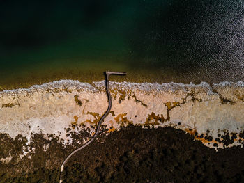 High angle view of plants by sea