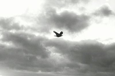 Low angle view of airplane flying in sky