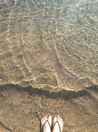 Low section of woman standing on beach