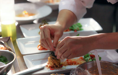 Cropped image of chef styling food in plate