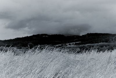 Scenic view of agricultural field against storm clouds