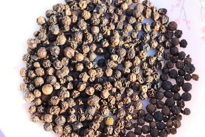 High angle view of berries on white table