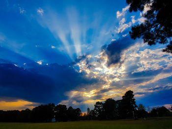 Silhouette trees on field against sky at sunset