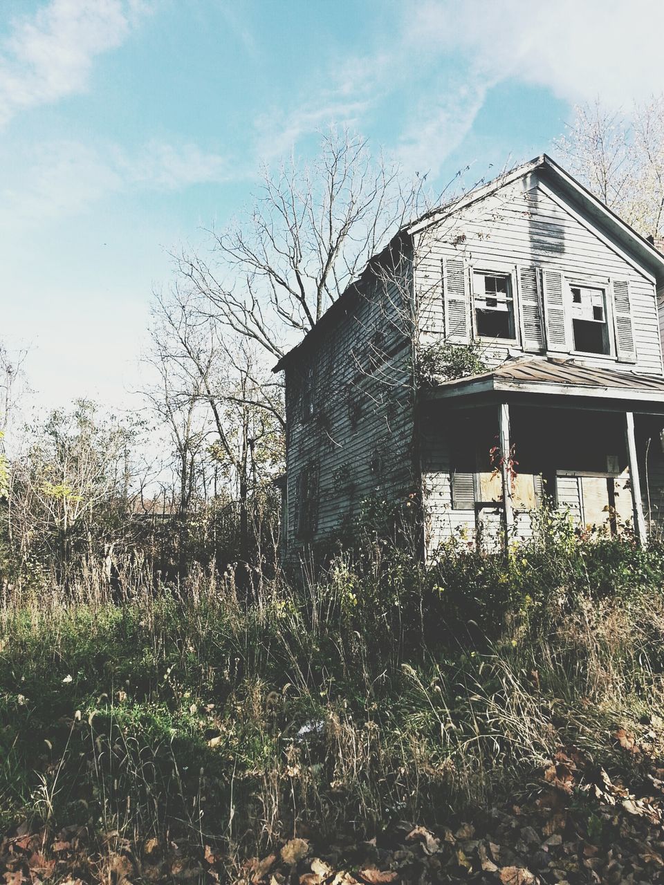 building exterior, architecture, built structure, sky, house, residential structure, window, residential building, plant, cloud - sky, abandoned, old, cloud, low angle view, day, tree, outdoors, no people, building, damaged