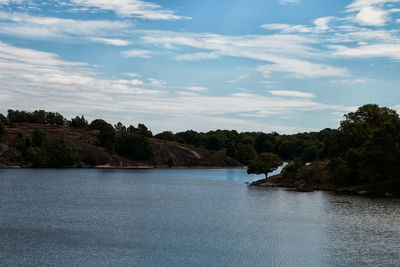 View of calm lake against trees