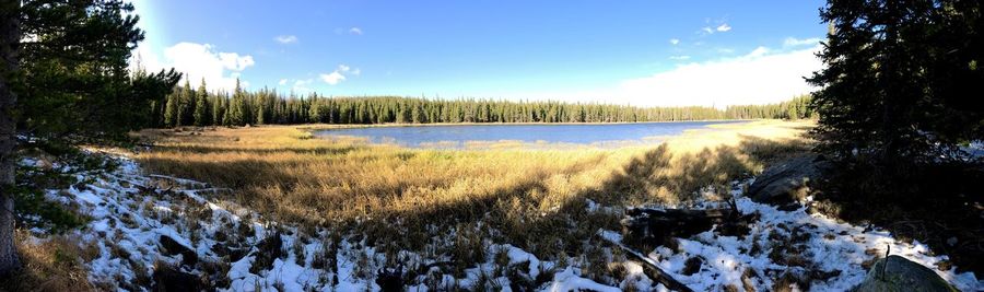 Panoramic shot of trees on snow covered land against sky