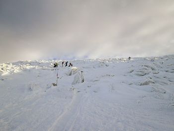 People on snowcapped mountain against sky