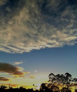 Low angle view of silhouette trees against sky