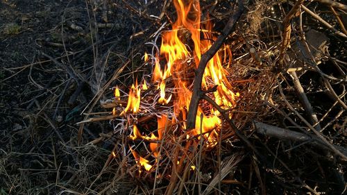 Close-up of bonfire on field at night