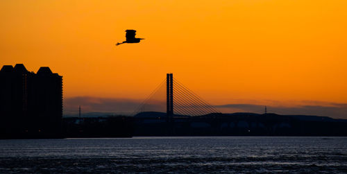 Silhouette birds flying over sea against orange sky