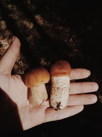 Close-up of hand holding bread