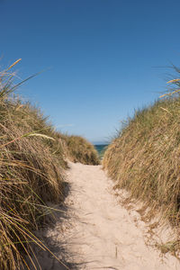 Up-right picture of natural beach access with ocean at sunny day with clear blue sky