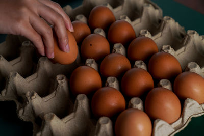 Close-up of hand holding eggs