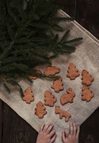 Cropped hands by cookies and pine twigs on table