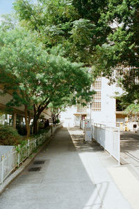 Empty footpath leading to building