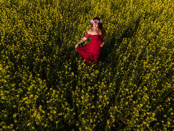 Aerial view of a pregnant woman in a red dress in a field of yellow flowers