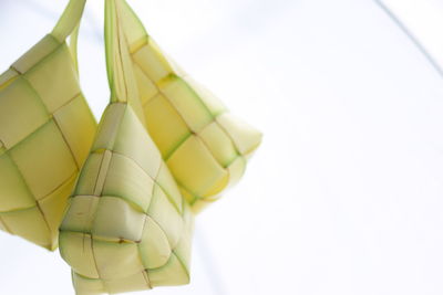 Low angle view of yellow colored pencils against white background