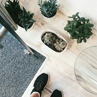 low section, personal perspective, person, shoe, high angle view, human foot, footwear, wood - material, indoors, part of, potted plant, leaf, directly above, standing, unrecognizable person, flooring, plant