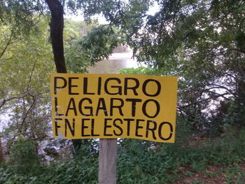 Close-up of information sign on trees in forest