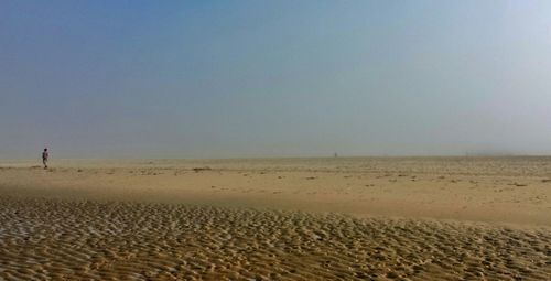 Scenic view of sandy beach