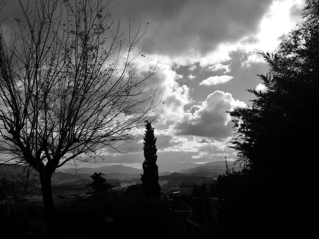 tree, sky, silhouette, cloud - sky, tranquility, tranquil scene, beauty in nature, nature, scenics, branch, cloudy, bare tree, growth, cloud, low angle view, sunset, dusk, tree trunk, outdoors, no people