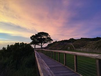 Wooden boardwalk with trees and grass in park