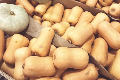 High angle view of pumpkins in market