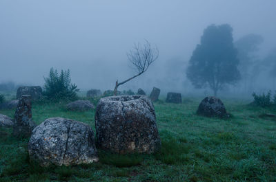 View of rocks on field against sky