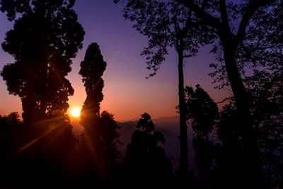 Silhouette trees against sky during sunset