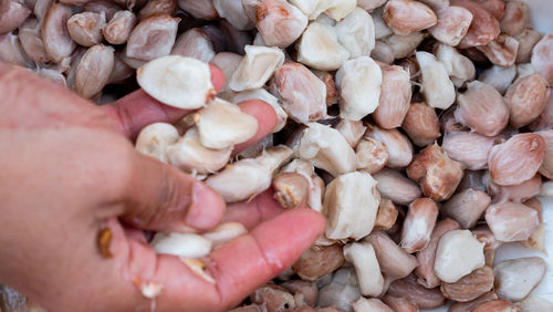 Close-up of hand holding bread