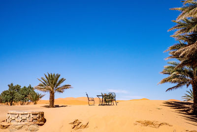 Scenic view of beach against clear blue sky