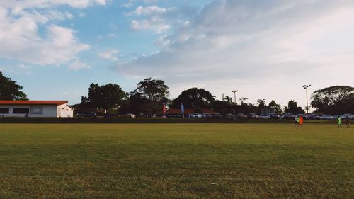 Houses and trees on field against sky