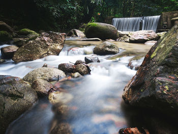 Stream flowing through rocks in forest