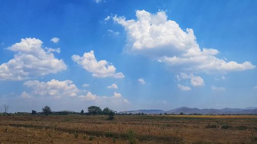 Scenic view of field against sky