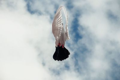 Low angle view of bird flying